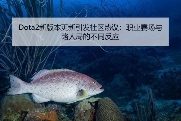 Dota2新版本更新引发社区热议：职业赛场与路人局的不同反应
